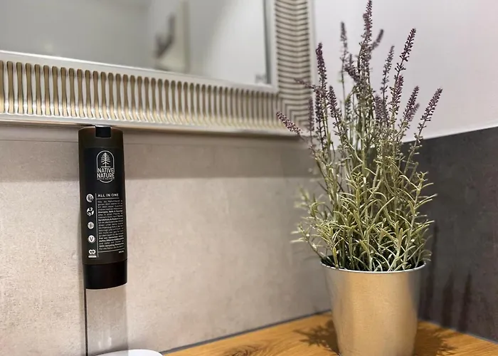 Appartamento La Blanche-designapartment Altstadt *